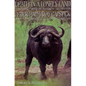Death in a Lonely Land - Hardcover