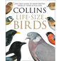 Collins Life-Size Birds: The Only Guide to Show British Birds at Their Actual Size - Hardcover