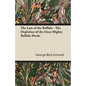 The Last of the Buffalo - The Depletion of the Once Mighty Buffalo Herds - Paperback