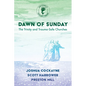 Dawn of Sunday: The Trinity and Trauma-Safe Churches - Paperback