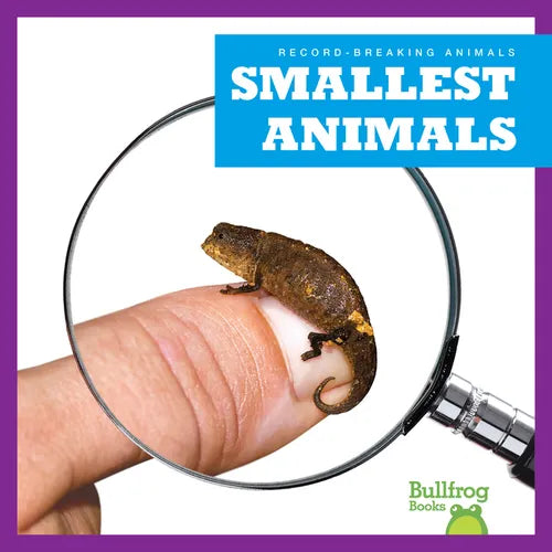 Smallest Animals - Paperback