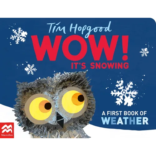 Wow! It's Snowing: A First Book of Weather - Board Book