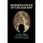 Perspectives of a Black Boy - Paperback