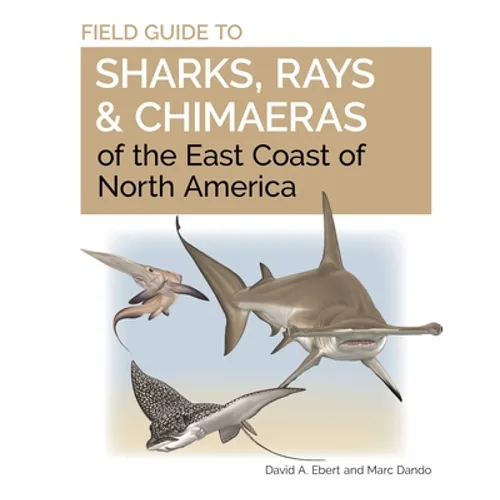 Field Guide to Sharks, Rays and Chimaeras of the East Coast of North America - Paperback