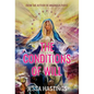 The Conditions of Will - Paperback