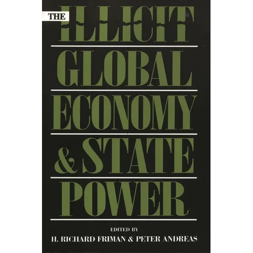 The Illicit Global Economy and State Power - Paperback