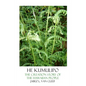 He Kumulipo: The Creation Story Of The Hawaiian People - Paperback