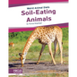 Soil-Eating Animals - Paperback