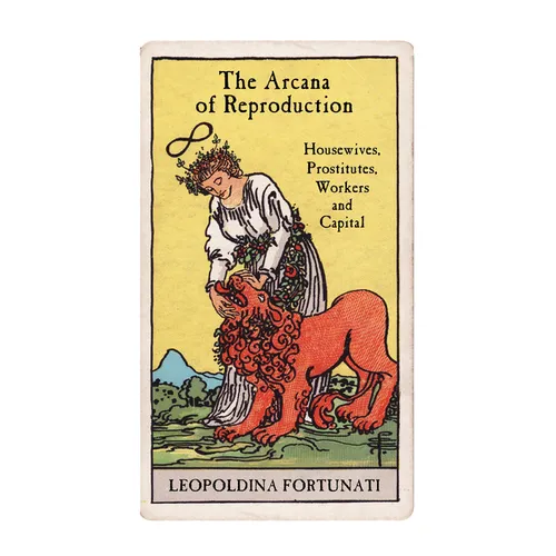 The Arcana of Reproduction: Housewives, Prostitutes, Workers and Capital - Paperback