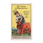 The Arcana of Reproduction: Housewives, Prostitutes, Workers and Capital - Paperback
