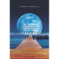 The Ferryman: A German Mennonite family's Struggle in Russia during the Revolution - Paperback