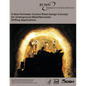 A New Perimeter Control Blast Design Concept for Underground Metal/Nonmetal Drifting Applications - Paperback