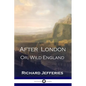 After London: Or, Wild England - A Victorian Classic of Post-Apocalyptic Science Fiction - Paperback
