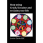 Stop Using Crack/Cocaine and Reclaim Your Life - Paperback