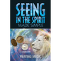 Seeing in the Spirit Made Simple - Paperback