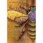 Bee Dance - Paperback