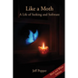 Like a Moth: A Life of Seeking and Software - Paperback