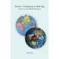 Positive Thinking in a Dark Age: Essays on the Global Transition - Paperback