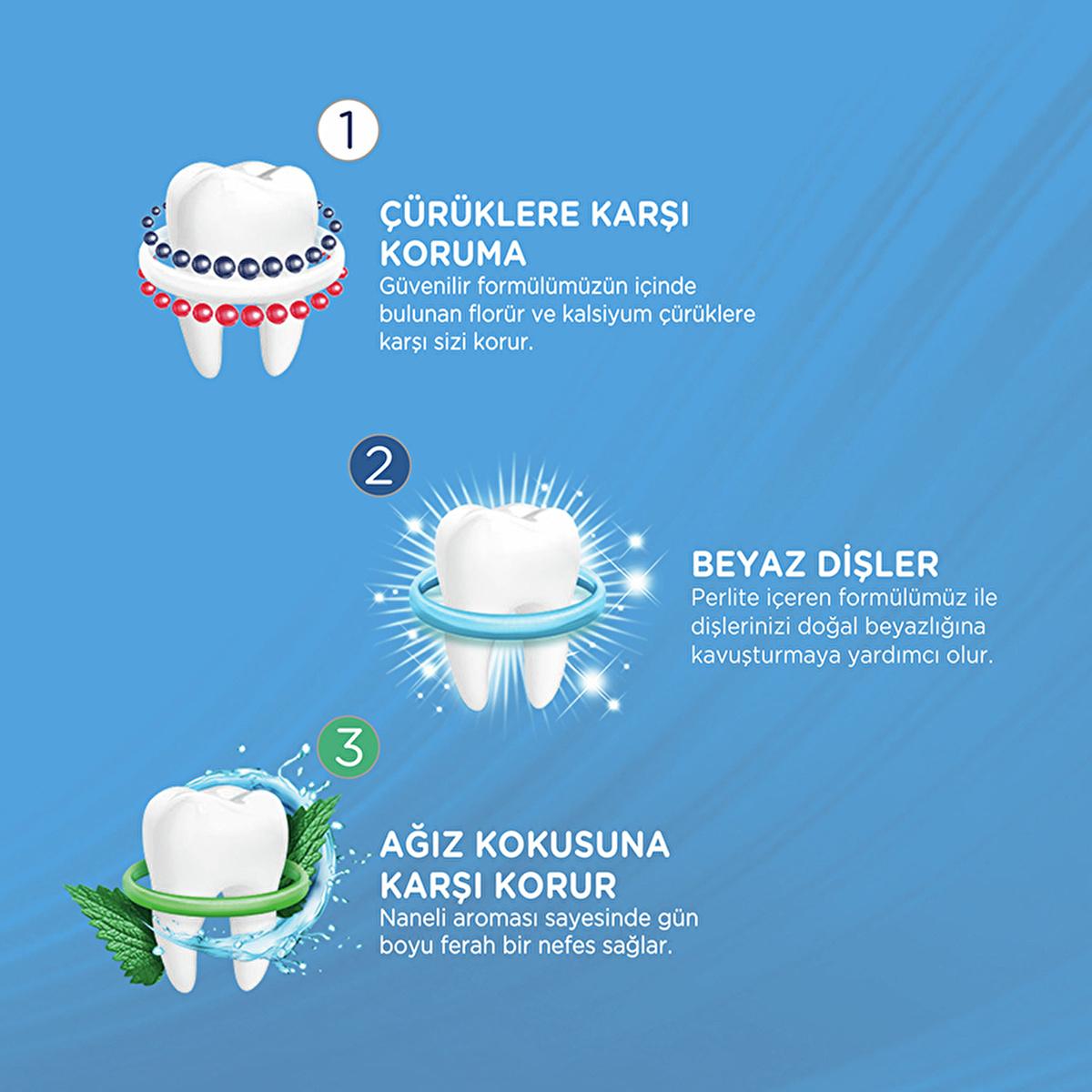 Signal Toothpaste Triple Protection with Fluoride & Calcium - 4.06 fl oz - Fresh Minty Flavor