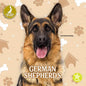 German Shepherds - Paperback