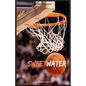 Sweetwater: A Biography of Nathaniel "Sweetwater" Clifton - Paperback