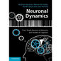 Neuronal Dynamics - Paperback