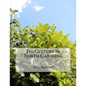 Fig Culture in North Carolina - Paperback