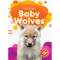 Baby Wolves - Library Binding