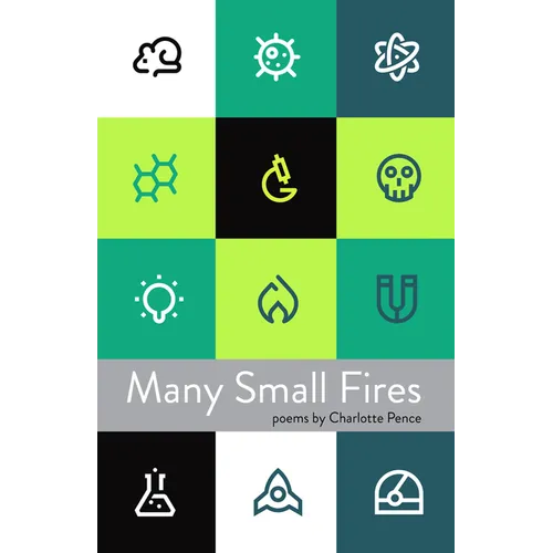 Many Small Fires - Paperback