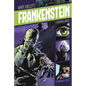 Frankenstein: A Graphic Novel - Paperback