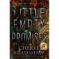 little Empty Promises, Large Print Edition - Paperback