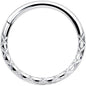 16G 3/8 Implant Grade Titanium Snakeskin Style Hinged Segment Ring