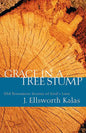 Grace in a Tree Stump: Old Testament Stories of God's Love - Paperback