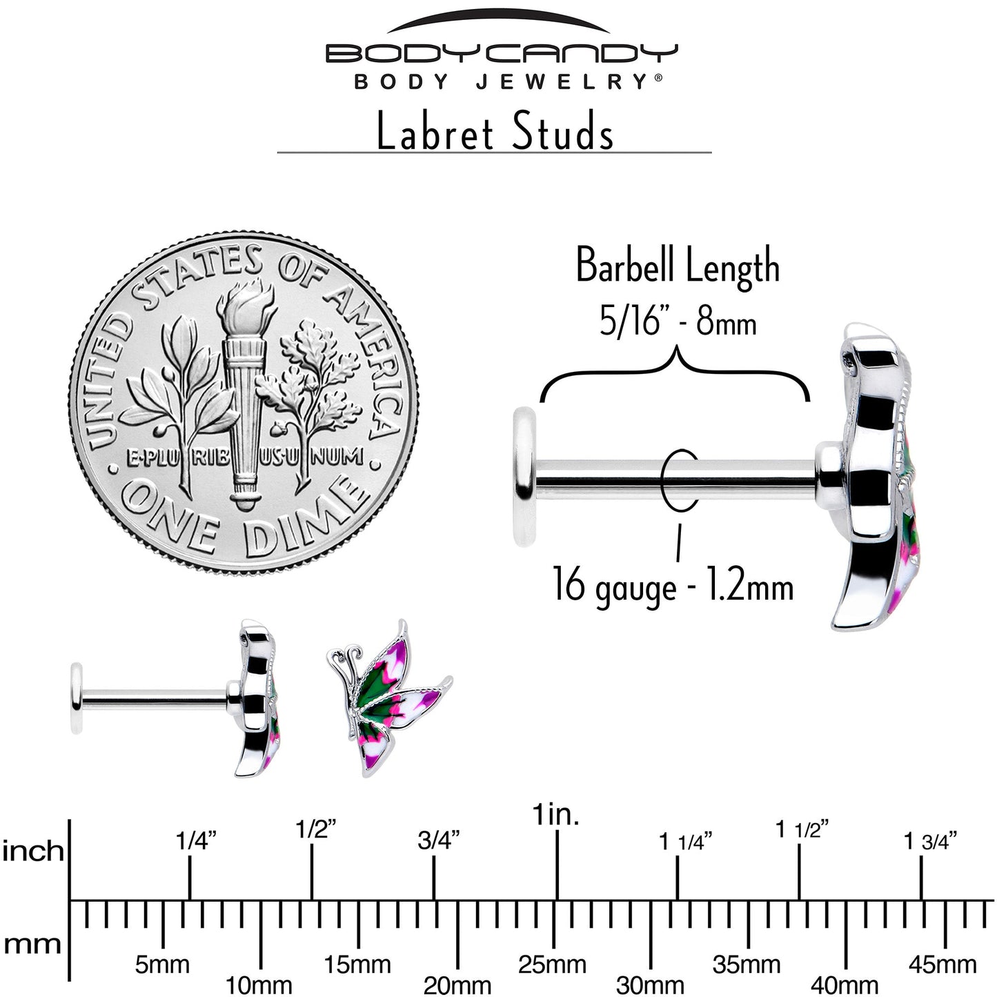 16G 5/16 Profile Butterfly Labret Monroe Tragus