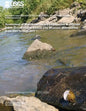 Assessment of Macroinvertebrate Communities in Adjacent Urban Stream Basins, Kansas City, Missouri, Metropolitan Area, 2007 through 2011 - Paperback