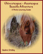 Chincoteague-Assateague Seaside Adventure: A Photo-Journey Guide - Paperback
