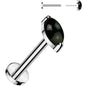 16G 5/16 Natural Black Onyx Oval Medical Grade Titanium Flat Back Earring