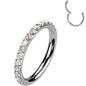 18G Micro Gem Titanium Hinged Nose Hoop