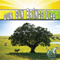 Our Sun Brings Life - Paperback