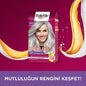 Palette Deluxe U71 Elmas Grisi Hair Dye - Long-Lasting Gray Hair Color with Nourishing Properties
