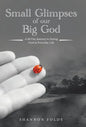Small Glimpses of Our Big God: A 60 Day Journey to Seeing God in Everyday Life - Hardcover