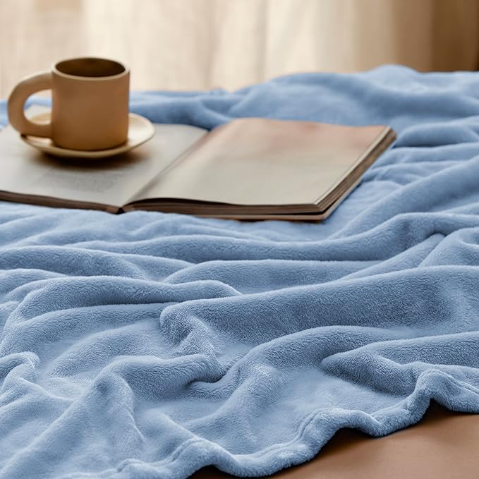 Bedsure Fleece Blankets Twin Size Light Blue - 300GSM Lightweight Plush Fuzzy Cozy Soft Blanket for Bed, Sofa, Couch, Travel, Camping, 60x80 inches