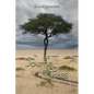 Journey of Trees - Paperback