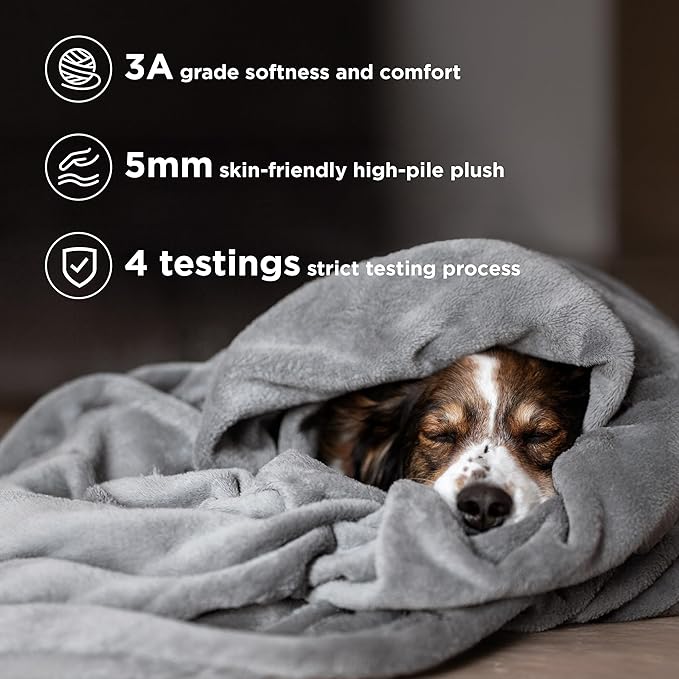 Bedsure Fleece California King Blanket - Lightweight Plush Fuzzy Cozy Soft Large Blankets for Bed, Grey, 102x96 inches