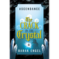 The Crack in the Crystal - Hardcover