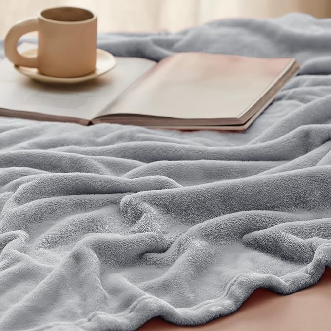 Bedsure Fleece Blanket Twin Size Light Grey - 300GSM Lightweight Plush Fuzzy Cozy Soft Warm Blanket for Bed, Sofa, Couch, Travel, Camping, 60x80 inches