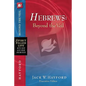 Hebrews: Beyond the Veil - Paperback