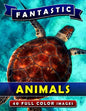 Fantastic Animals: Picture Book Gift for Adults, Seniors and People with Alzheimer's & Dementia. Dementia Activities for Seniors Book. - Paperback