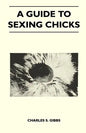 A Guide To Sexing Chicks - Paperback