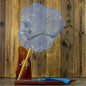 Translucent Silk Chinese Round Hand Fan, Floral Design